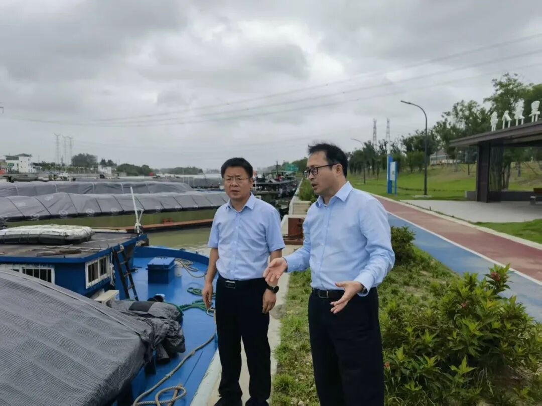 市交通运输局党委书记、局长徐成东深入一线检查台风“巴...